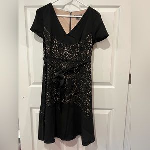 NWT - Pea in the Pod maternity dress - L